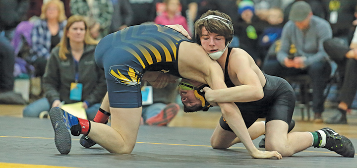 Five Chenango County wrestlers crowned Section IV Division-II Champions